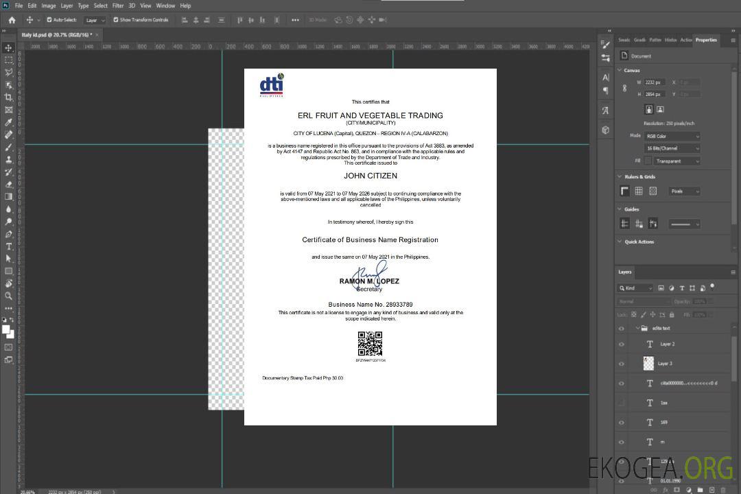 Interprète privé du Département du commerce et de l'industrie des Philippines (DTI) template